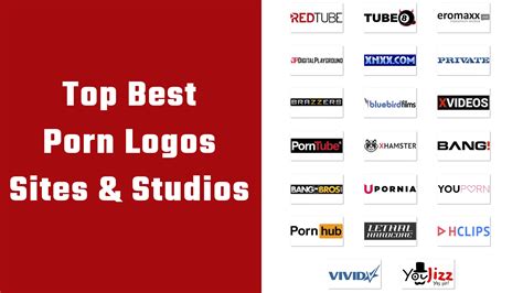 <strong>Studios</strong> More. . Best porn studios